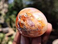 Polished Carnelian Palm Stones x 24 From Madagascar