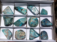 Polished Azurite Chrysocolla and Shattuckite Free Forms x 12 From Congo