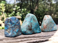 Polished Azurite Chrysocolla and Shattuckite Free Forms x 12 From Congo