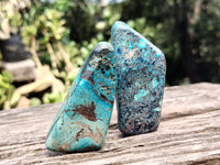 Polished Azurite Chrysocolla and Shattuckite Free Forms x 12 From Congo