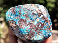 Polished Azurite Chrysocolla and Shattuckite Free Forms x 12 From Congo