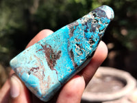 Polished Azurite Chrysocolla and Shattuckite Free Forms x 12 From Congo