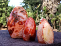 Polished Carnelian Standing Free Forms x 5 From Madagascar