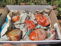 Polished Carnelian Standing Free Forms x 5 From Madagascar