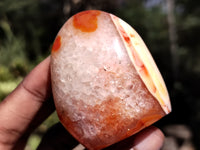 Polished Carnelian Standing Free Forms x 5 From Madagascar