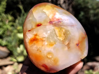 Polished Carnelian Standing Free Forms x 5 From Madagascar