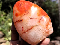 Polished Carnelian Standing Free Forms x 5 From Madagascar