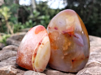 Polished Carnelian Standing Free Forms x 5 From Madagascar