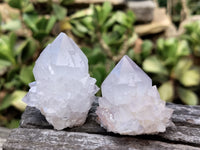 Natural Amethyst Cactus Spirit Quartz Clusters x 12 From Boekenhouthoek, South Africa