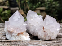 Natural Amethyst Cactus Spirit Quartz Clusters x 12 From Boekenhouthoek, South Africa