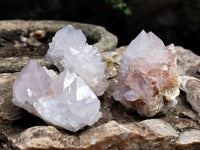 Natural Amethyst Cactus Spirit Quartz Clusters x 12 From Boekenhouthoek, South Africa