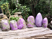 Polished Stichtite Standing Free Forms x 6 From Barberton, South Africa