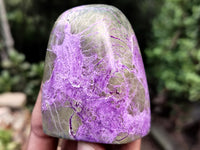 Polished Stichtite Standing Free Forms x 6 From Barberton, South Africa