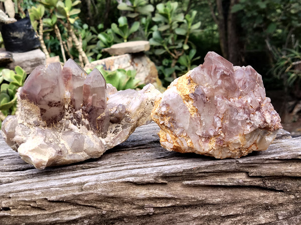 Natural Hematoid Quartz Clusters x 2 From Zambia