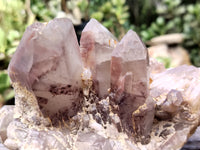 Natural Hematoid Quartz Clusters x 2 From Zambia