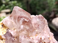 Natural Hematoid Quartz Clusters x 2 From Zambia