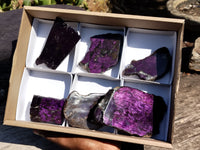 Polished On One Side Purpurite Specimens x 6 From Namibia