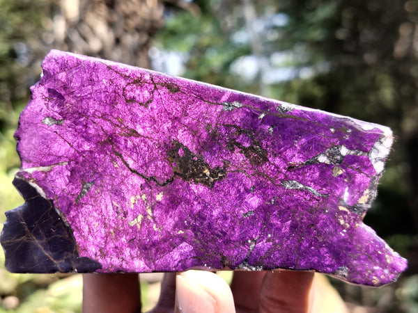 Polished On One Side Purpurite Specimens x 6 From Namibia