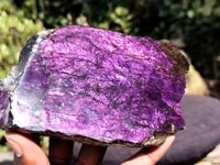 Polished On One Side Purpurite Specimens x 6 From Namibia