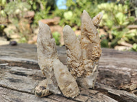 Natural Drusy Quartz Coated Calcite Pseudomorph Specimens x 12 From Alberts Mountain, Lesotho