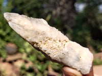 Natural Drusy Quartz Coated Calcite Pseudomorph Specimens x 12 From Alberts Mountain, Lesotho