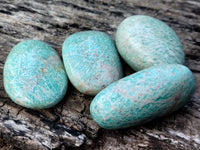 Polished Shattuckite with Azurite and Chrysocolla Free Forms x 6 From Congo