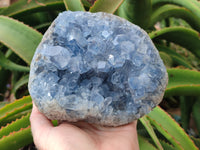 Natural Celestite Geode Specimen x 1 From Sakoany, Madagascar