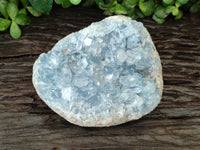 Natural Celestite Geode Specimen x 1 From Sakoany, Madagascar