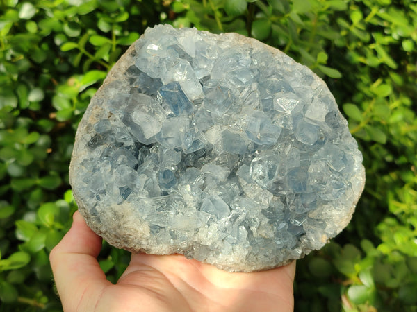 Natural Celestite Geode Specimen x 1 From Sakoany, Madagascar