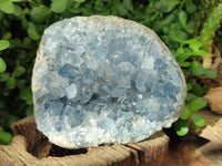 Natural Celestite Geode Specimen x 1 From Sakoany, Madagascar