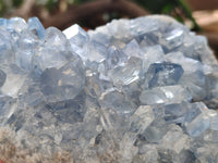 Natural Celestite Geode Specimen x 1 From Sakoany, Madagascar