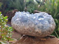 Natural Celestite Geode Specimen x 1 From Sakoany, Madagascar