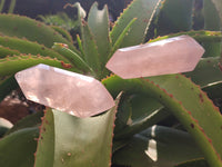 Polished Double Terminated Rose Quartz Points x 6 From Ambatondrazaka, Madagascar