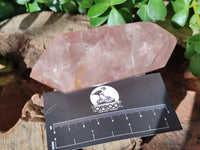 Polished Double Terminated Rose Quartz Points x 6 From Ambatondrazaka, Madagascar