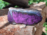 Polished On One Side Purpurite x 12 From Namibia