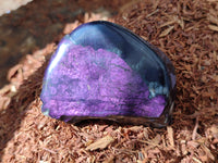 Polished On One Side Purpurite x 12 From Namibia