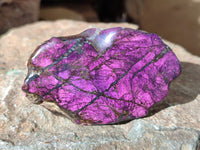 Polished On One Side Purpurite x 12 From Namibia