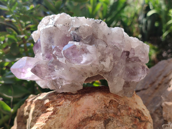 Natural Jacaranda Amethyst Quartz Clusters x 2 from Mumbwa, Zambia