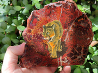 Hand Made Animal Decoupage Stone Slabs x 3 From Southern Africa