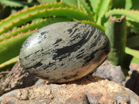 Polished Pharaoh Stone Free Forms x 6 From Zimbabwe