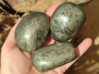 Polished Pharaoh Stone Free Forms x 6 From Zimbabwe