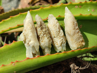 Natural Drusy Mountain Quartz Crystals x 35 From Alberts Mountain, Lesotho