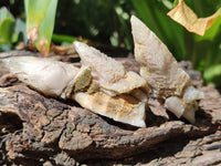 Natural Drusy Mountain Quartz Crystals x 35 From Alberts Mountain, Lesotho