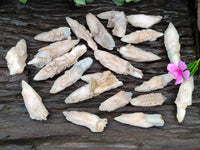 Natural Drusy Mountain Quartz Crystals x 35 From Alberts Mountain, Lesotho