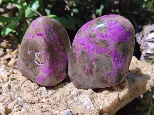 Polished Stichtite Standing Free Forms x 6 From Barberton, South Africa