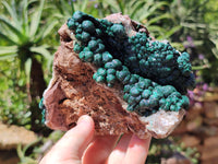 Natural Ball Malachite On Quartz Matrix Specimens x 2 From Kambove, Congo