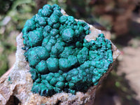 Natural Ball Malachite On Quartz Matrix Specimens x 2 From Kambove, Congo