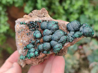 Natural Ball Malachite On Quartz Matrix Specimens x 2 From Kambove, Congo