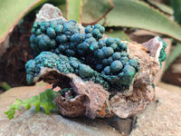 Natural Ball Malachite On Quartz Matrix Specimens x 2 From Kambove, Congo