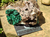 Natural Ball Malachite On Quartz Matrix Specimens x 2 From Kambove, Congo